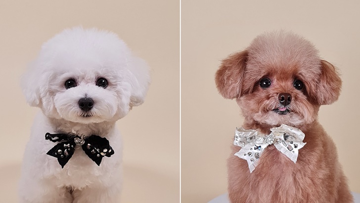 ▲ 갤럭시 노트20 울트라로 완성한 미소와 아라의 ‘증멍사진’. 실제 사진으로 인화해 액자에 걸어놓는 등 다양하게 활용할 수 있다.