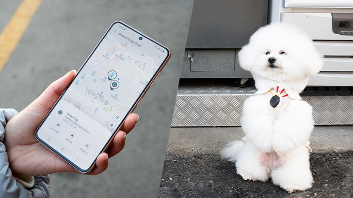 스마트태그를 이용해 강아지를 찾는 모습