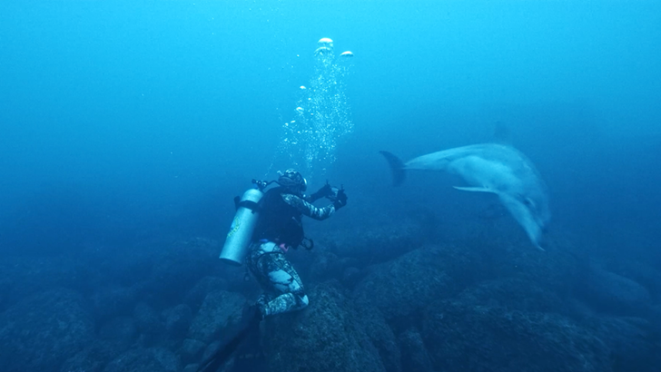 갤럭시 S21로 돌고래를 촬영하는 모습