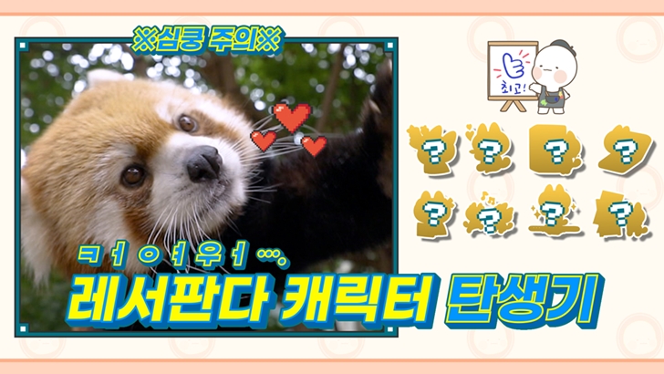심쿵주의 커여워 레서판다 캐릭터 탄생기