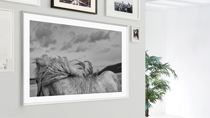 더 프레임에 띄운 팔라니 모한의 작품