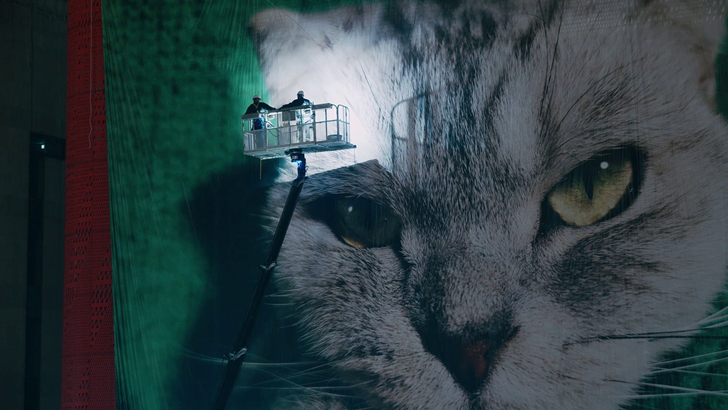 아이소셀 HP1 이미지센서로 완성된 초대형 고양이 인쇄물