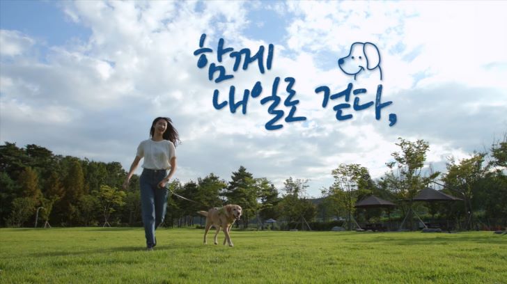 함께 내일로 걷다,