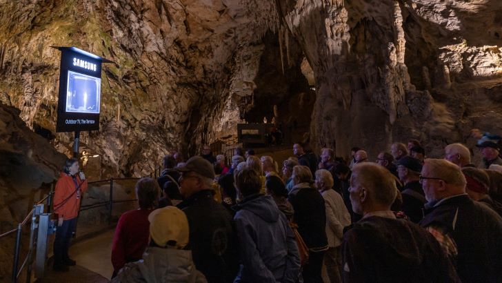 삼성전자가 연간 100만명 이상이 방문하는 슬로베니아 포스토이나 동굴에 아웃도어용 라이프스타일TV '더 테라스'를 설치해, 관람객들이 동굴에 서식하는 희귀 동물 '올름'을 더욱 생생하게 관찰할 수 있도록 했다.