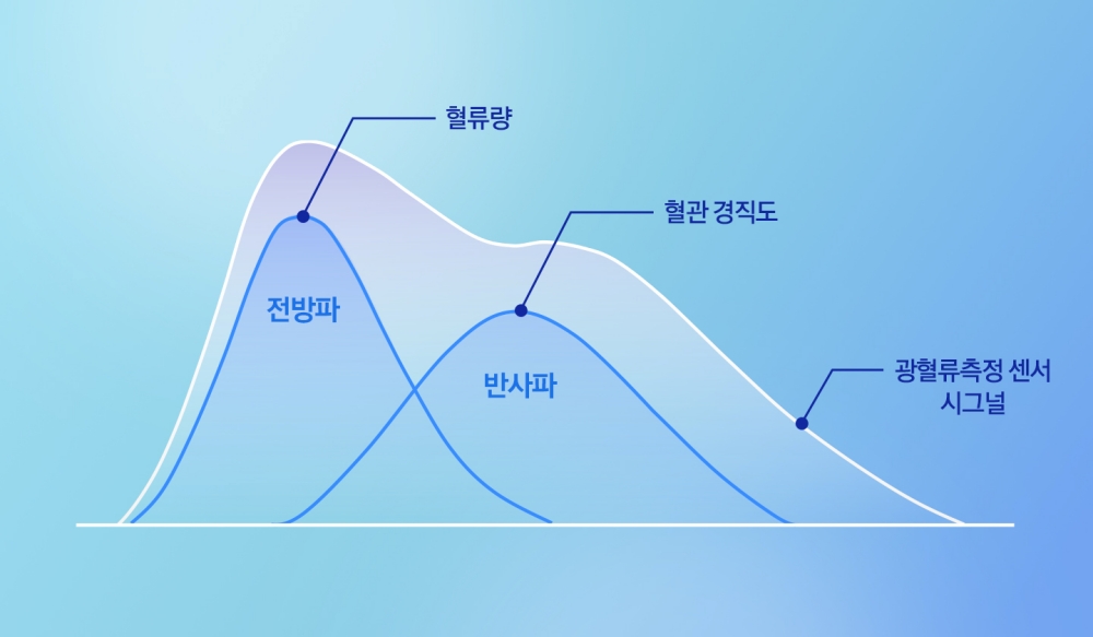 혈관계 건강 상태를 보여주는 혈관 스트레스 지표