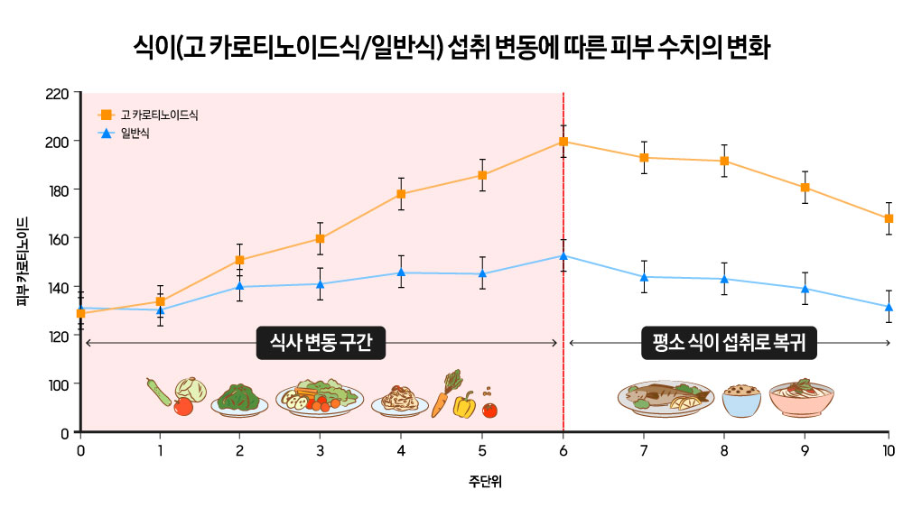 ▲ 서울대에서 80명을 대상으로 식사중재연구를 진행한 결과 카로티노이드 함량이 높은 식사를 섭취한 집단은 섭취 후 1주 후부터 피부 카로티노이드 수치 상승이 나타났다.