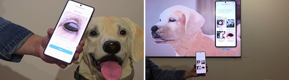 스마트싱스 펫 케어를 통해 반려동물의 백내장을 확인하는 모습.