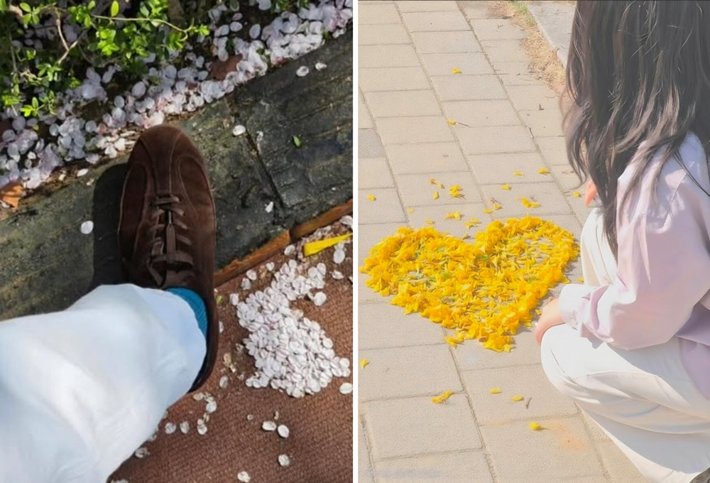 '갤럭시 S26 시리즈'의 '포토 어시스트 - 만들기' 기능을 활용한 벚꽃 인증 사진 편집. *출처: (좌) 크리에이터 '이동혁(@do_.nyak)' 인스타그램.