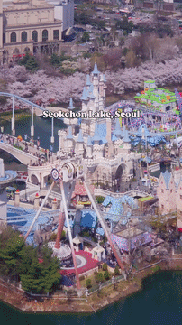 ‘갤럭시 S26 시리즈’의 'LOG 촬영 모드'로 촬영 후 ‘LUT 필터’를 적용한 벚꽃 인증 영상 *출처: (좌) 크리에이터 ‘빅준(@bigg_jun)’ 인스타그램.