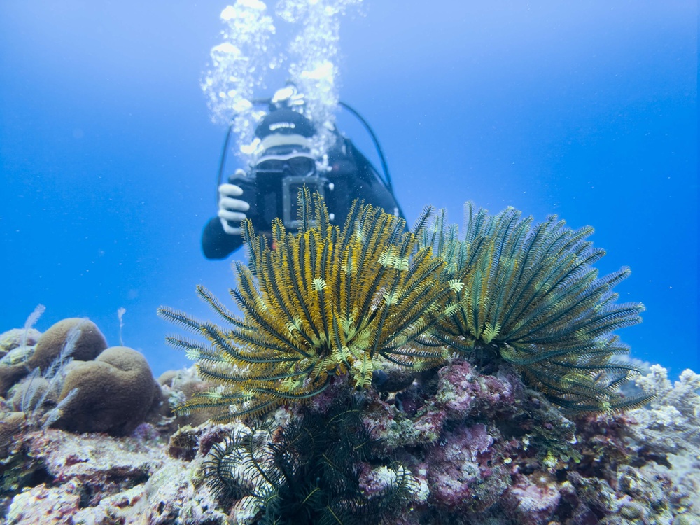 삼성전자, 갤럭시 카메라 기술을 활용한 산호초 보호 프로젝트 '코랄 인 포커스'로 국제 어워드 잇따라 수상.