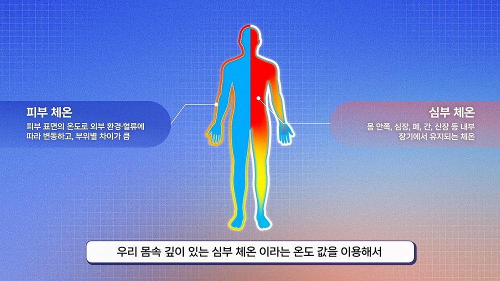 피부 체온과 심부 체온.